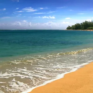 https://maui-vista-one-bedroom-condos.hotelsinhawaii.org